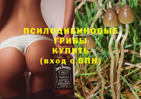 гидра Абдулино