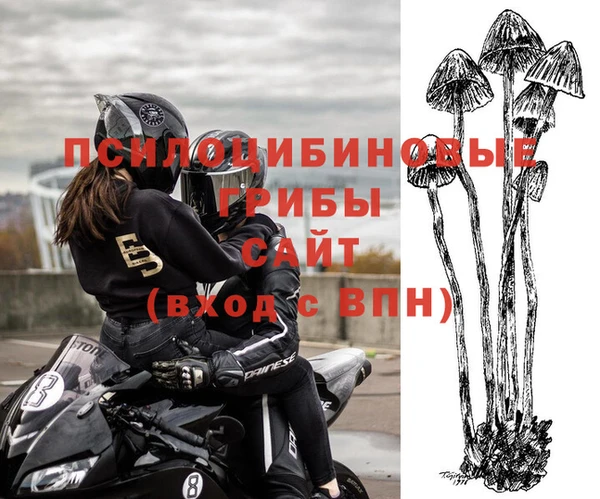 соль курить ск Абаза