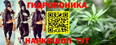 крисы Заводоуковск