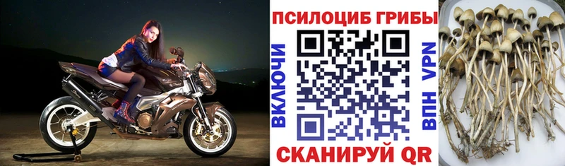 Галлюциногенные грибы мицелий Нижнекамск