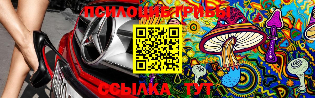 Галлюциногенные грибы Cubensis  Вход с VPN  Галлюциногенные грибы MAGIC MUSHROOMS  Нижнекамск 
